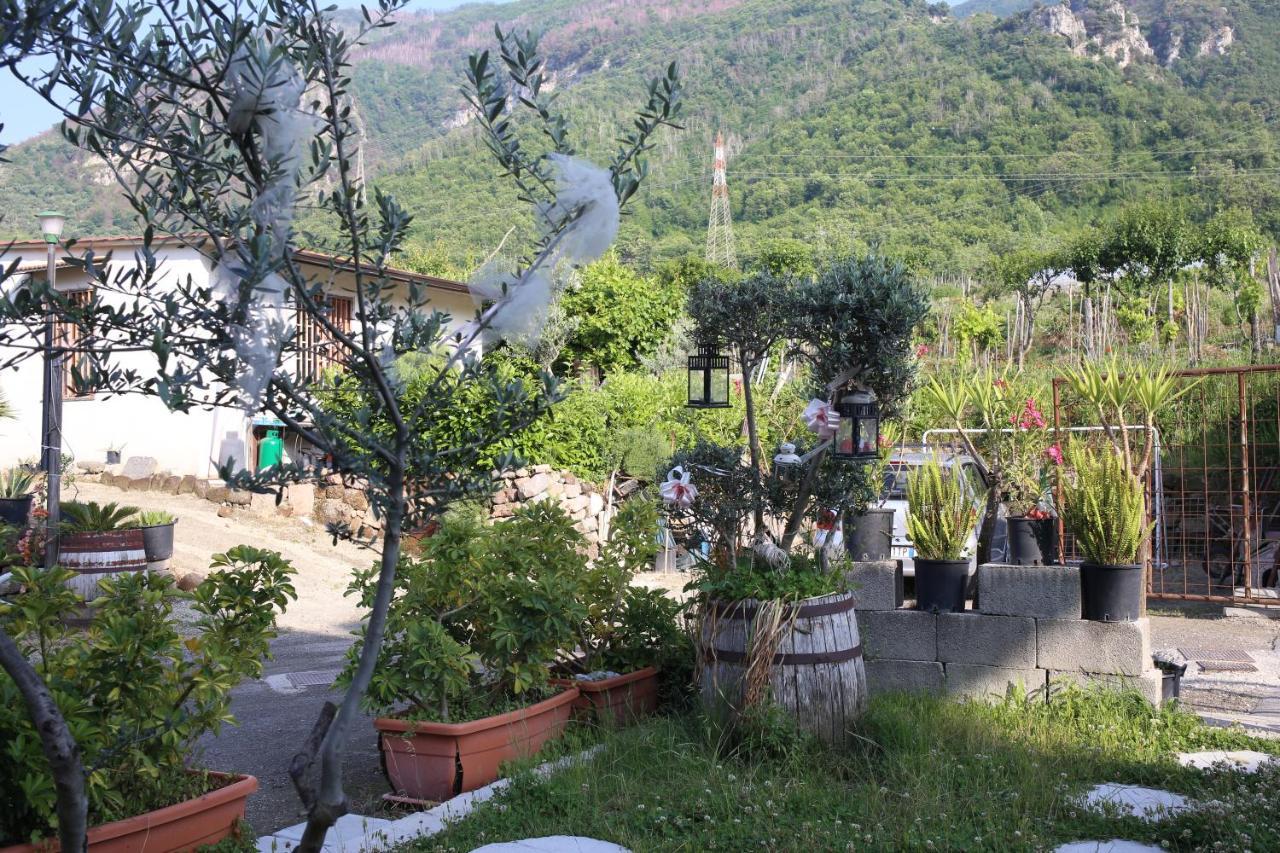 Annabella'S Country House Sant'Antonio Abate Luaran gambar